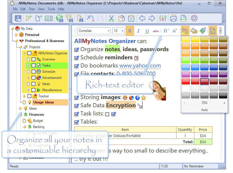 AllMyNotes Organizer – 数据信息管理工具[Windows][$34→0]丨反斗限免